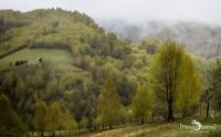 08 Sinaia 008