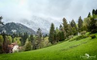 08 Sinaia 009