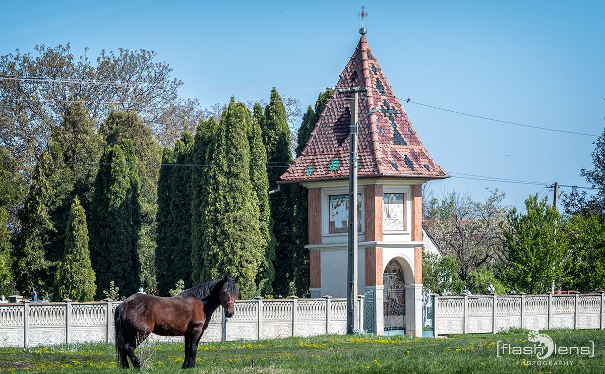 10 Brasov und Prejmer 018