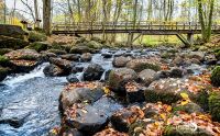 Holzbachschlucht 014
