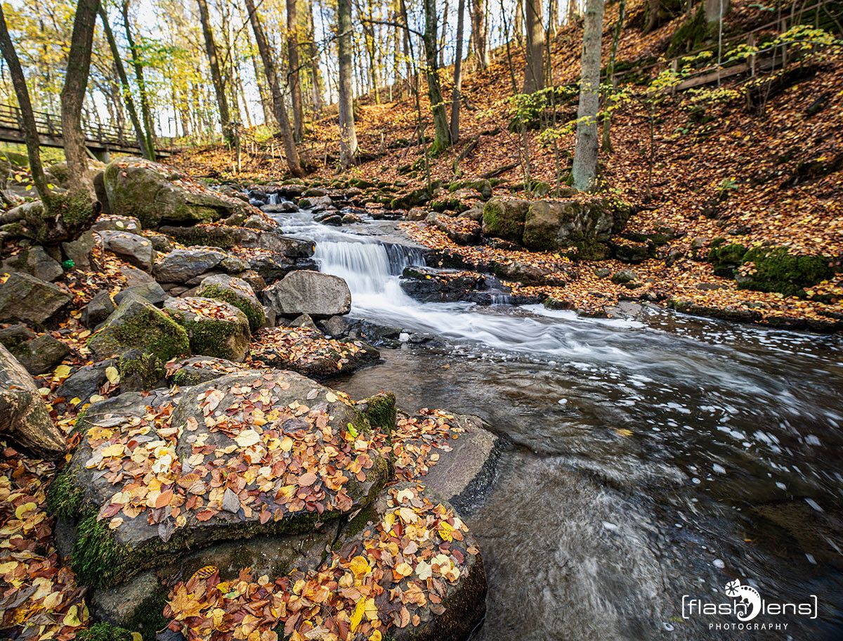 Holzbachschlucht 016