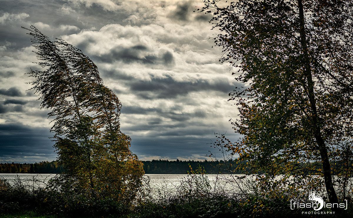 Reindersmeer 011