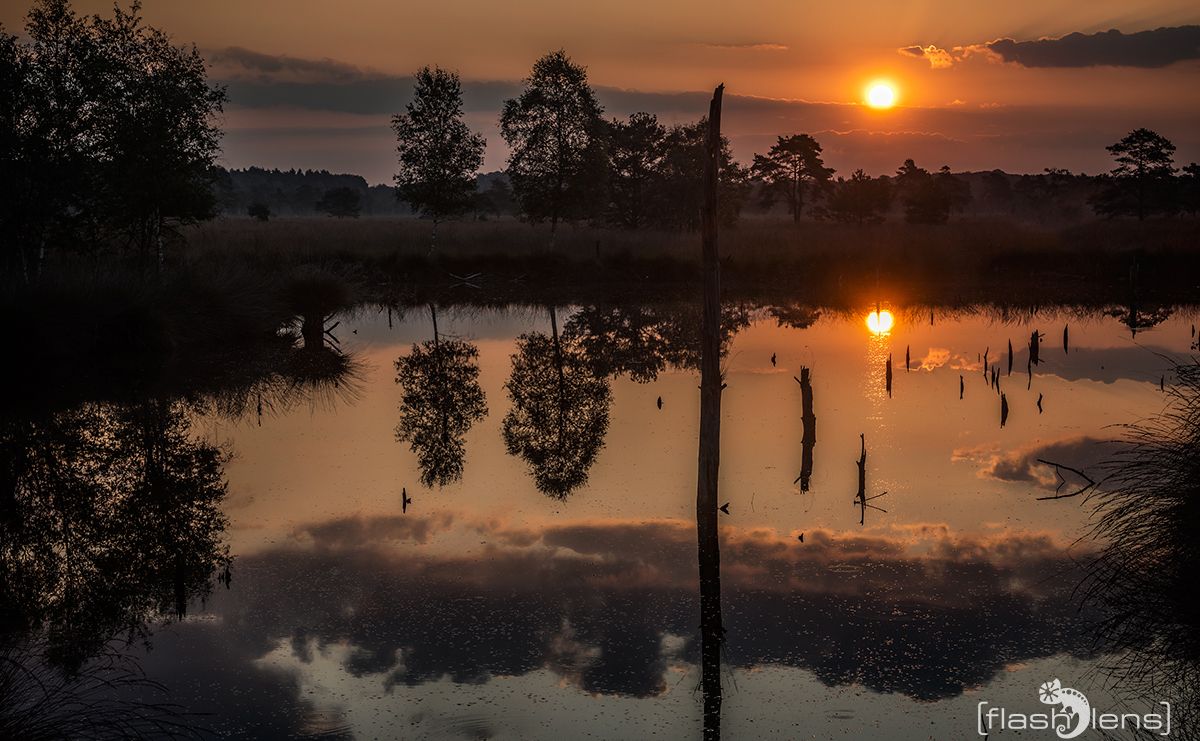 Pietzmoor 2019 005