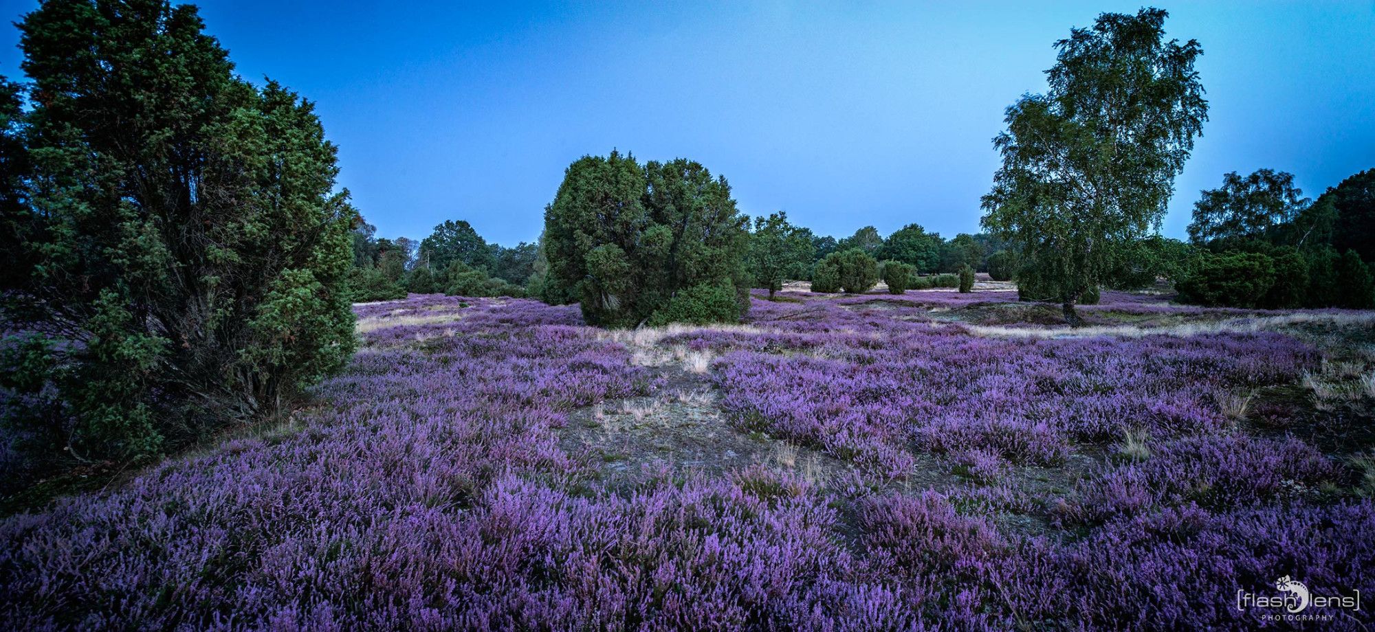 Wilsede 2019 002