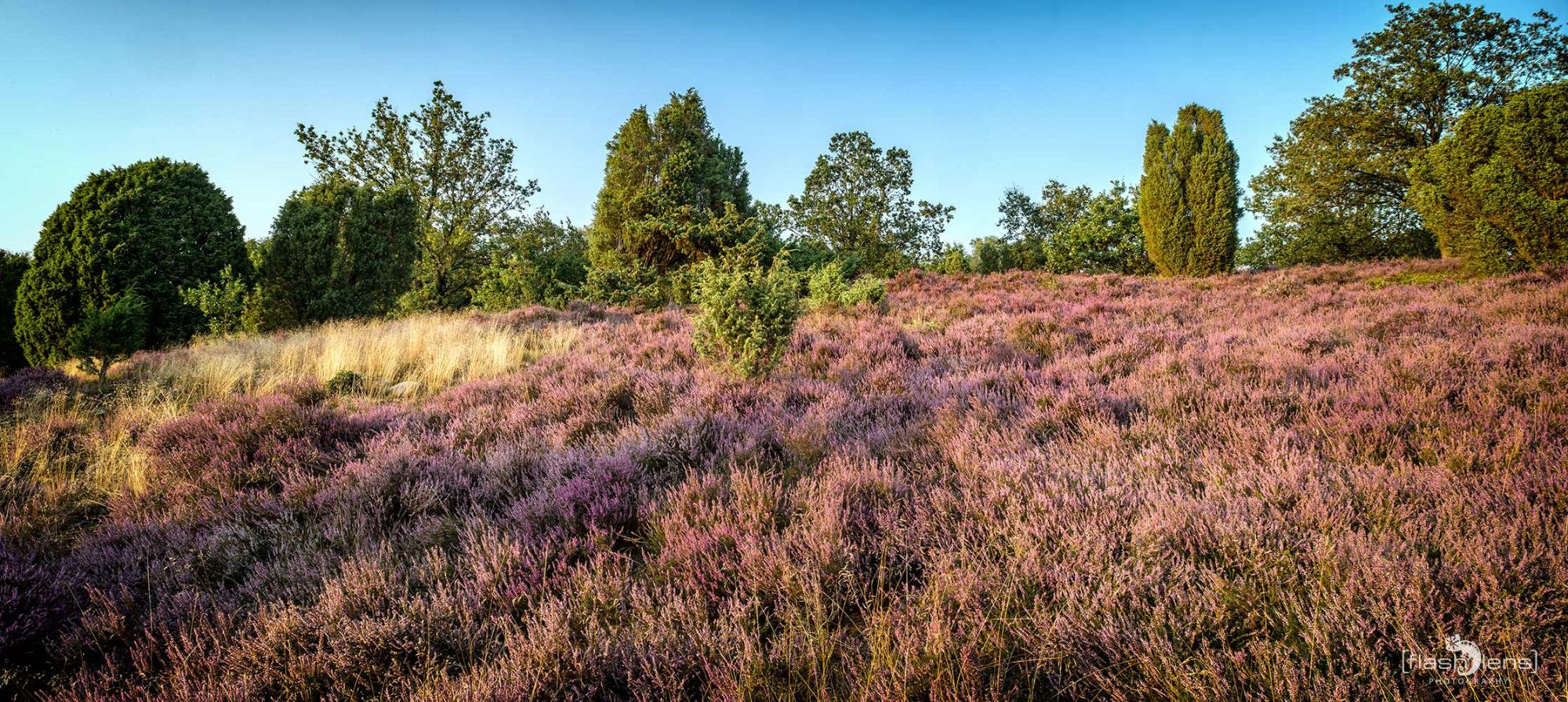 Wilsede 2019 017