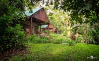 04 Kibale Forest 002