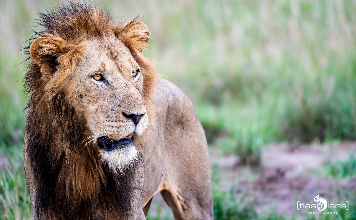 07 Queen Elisabeth NP 012