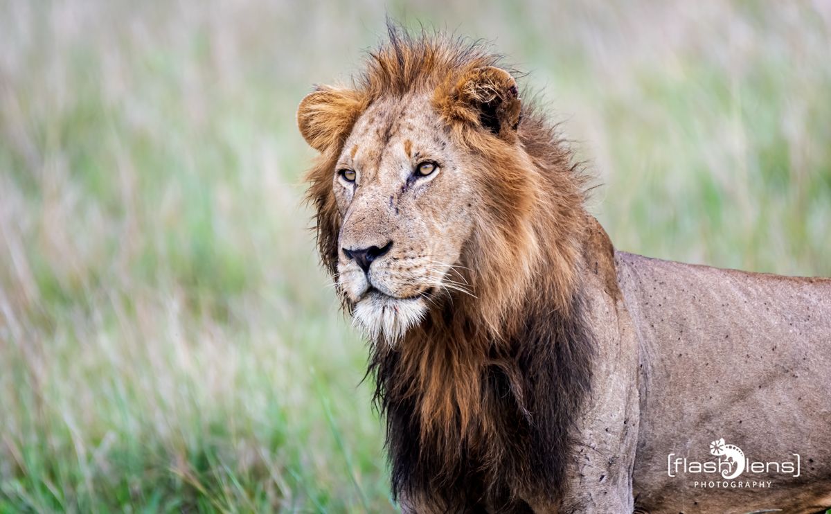 07 Queen Elisabeth NP 013