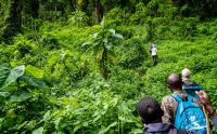 08 Bwindi NP 001