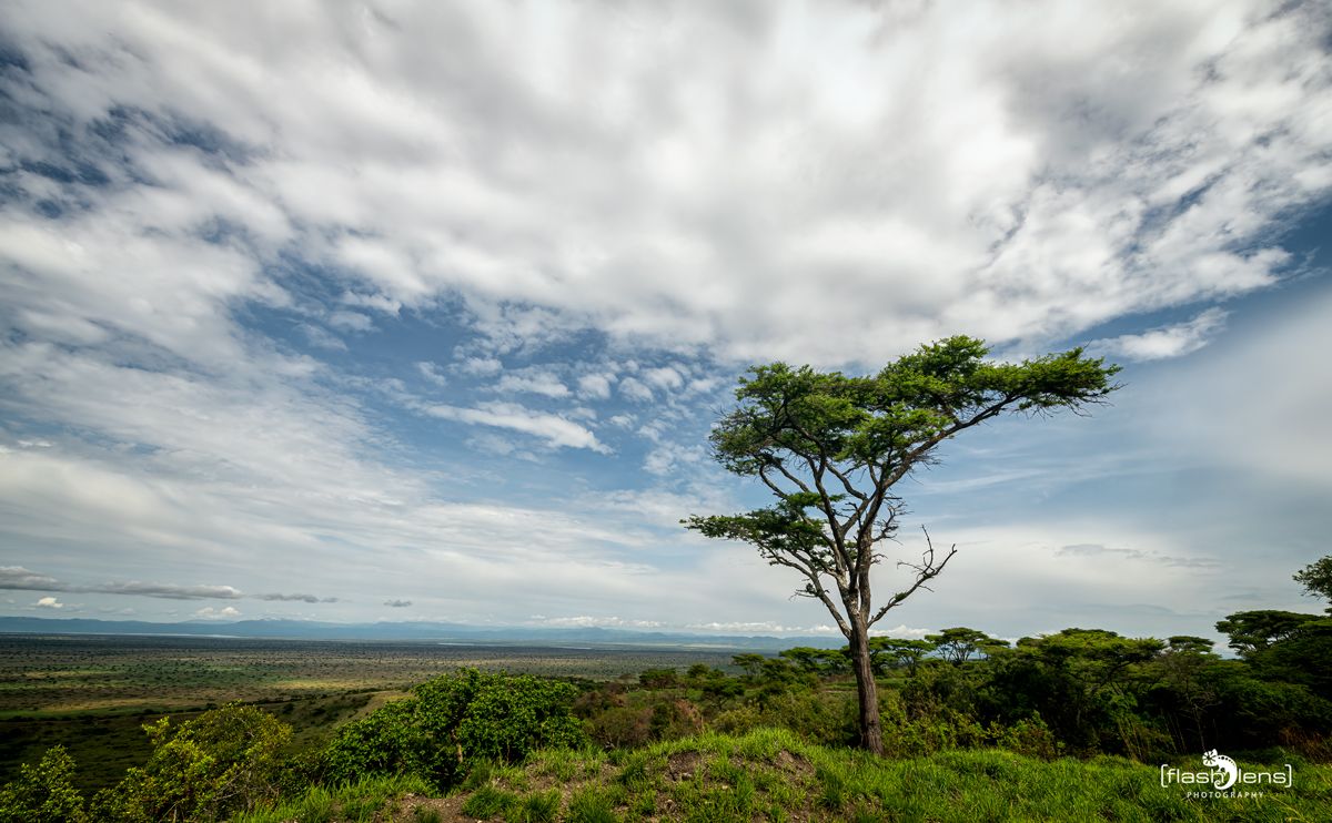07 Queen Elisabeth NP 008
