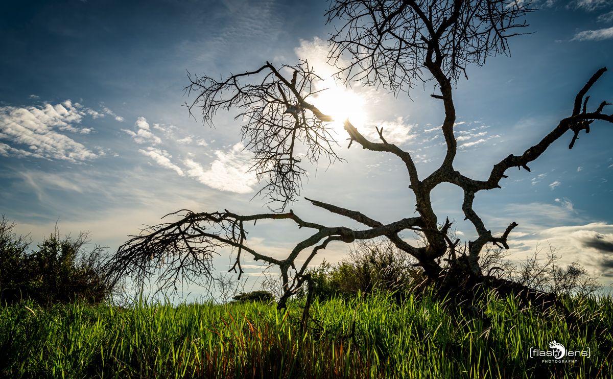 07 Queen Elisabeth NP 009