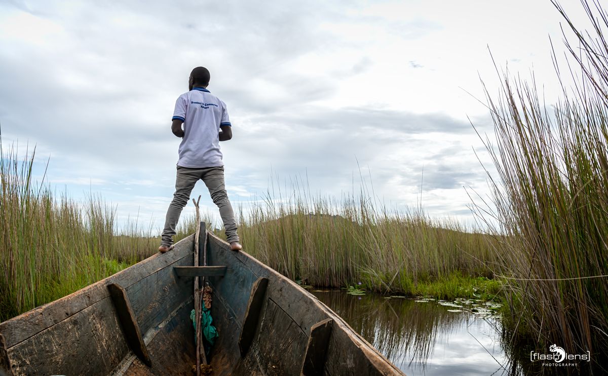 09 Mabamba Swamps 002