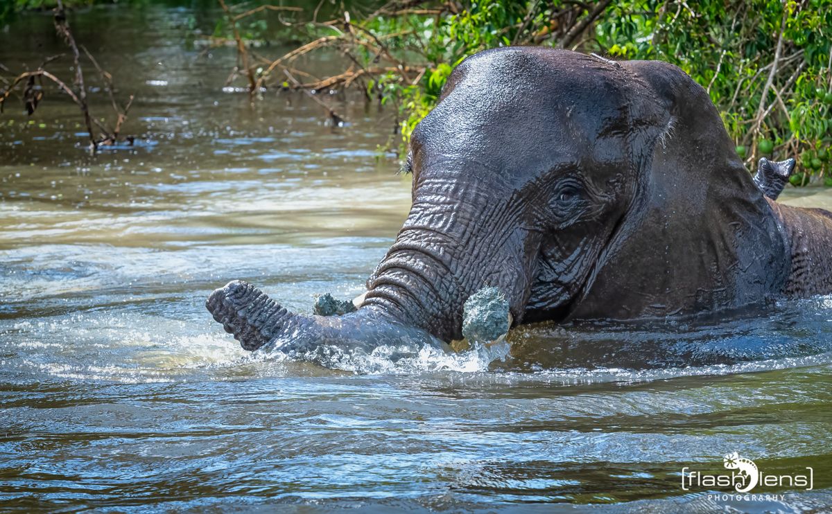 03 Victoria Nile 021