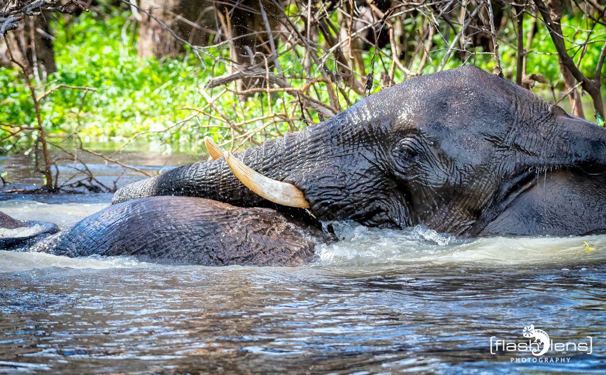 03 Victoria Nile 022