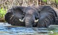 03 Victoria Nile 026