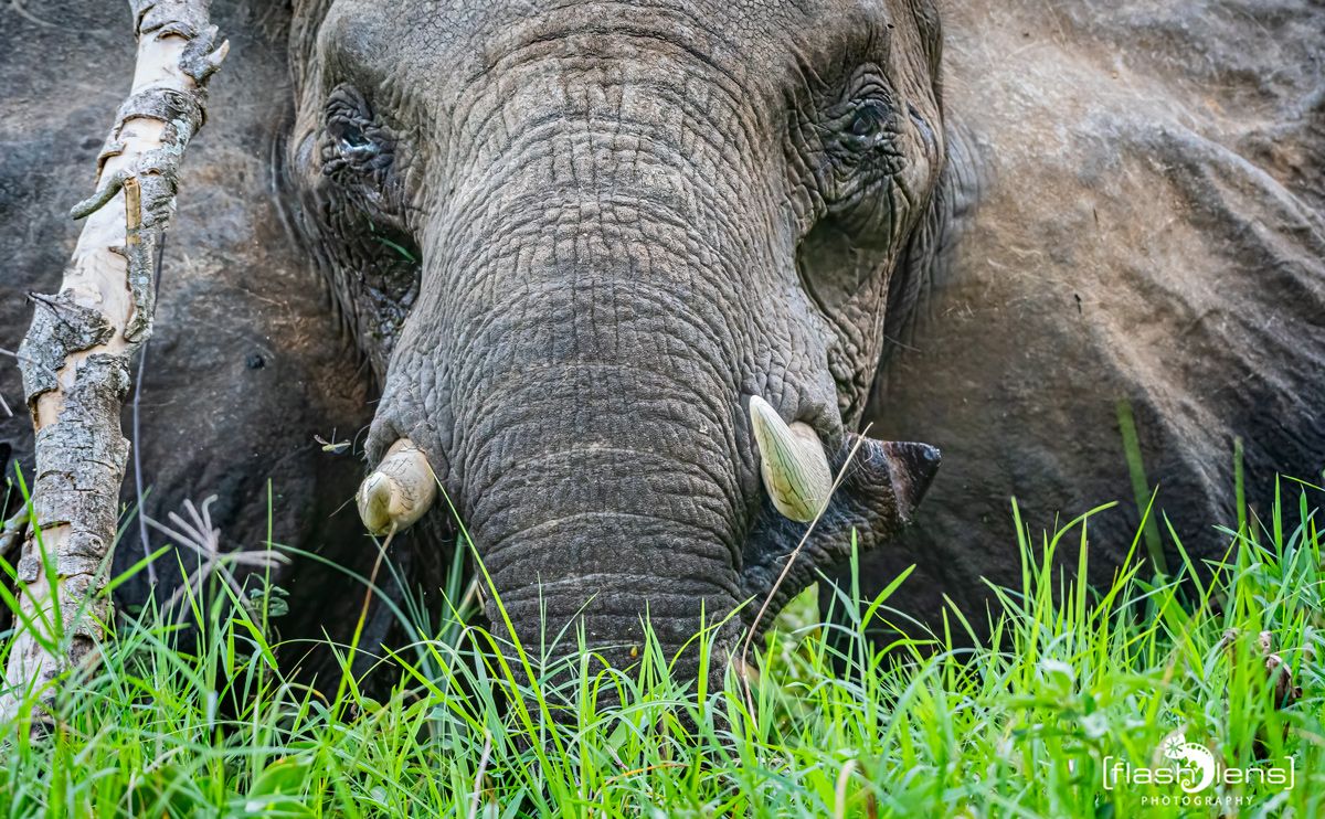 03 Victoria Nile 029