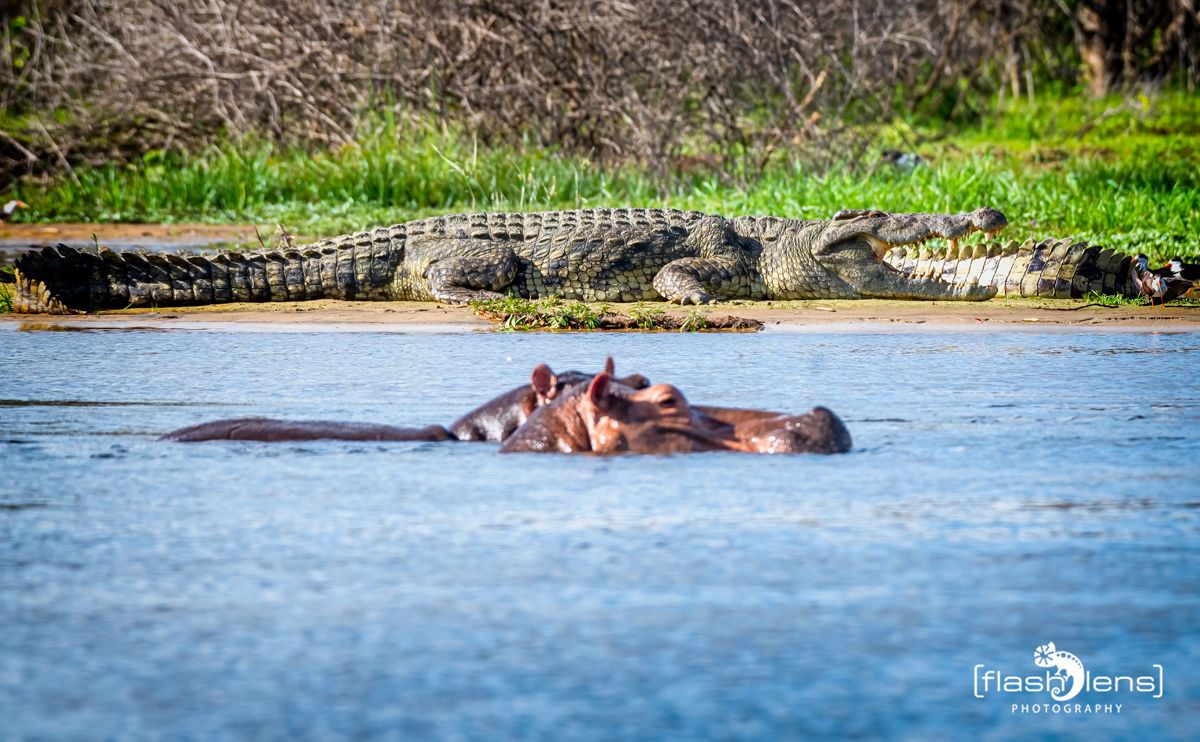 03 Victoria Nile 031