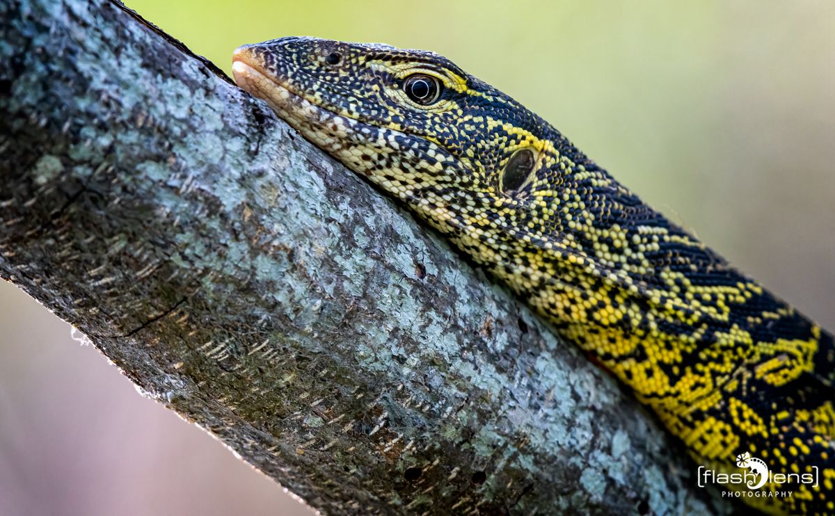 03 Victoria Nile 035