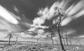 Noir Flohay 043