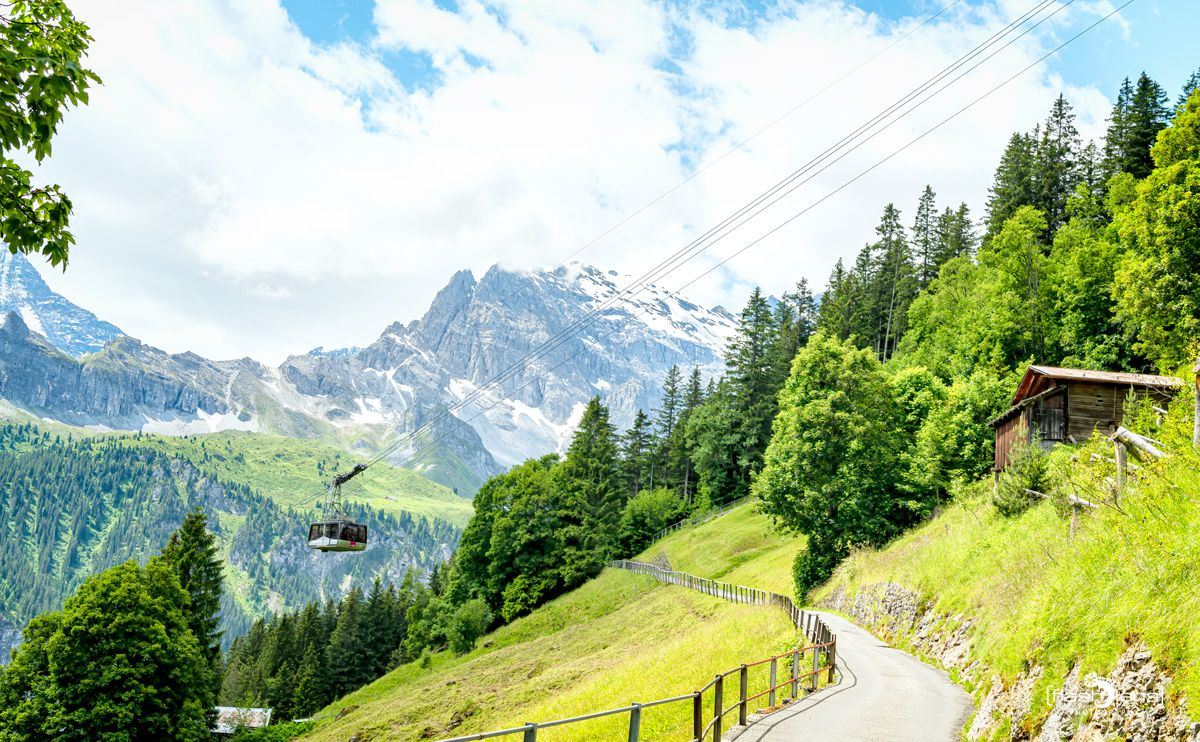 001 Grindelwald 007