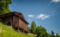 001 Grindelwald 010