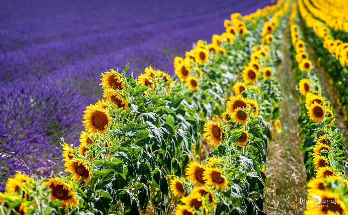 02 Haute Provence 006