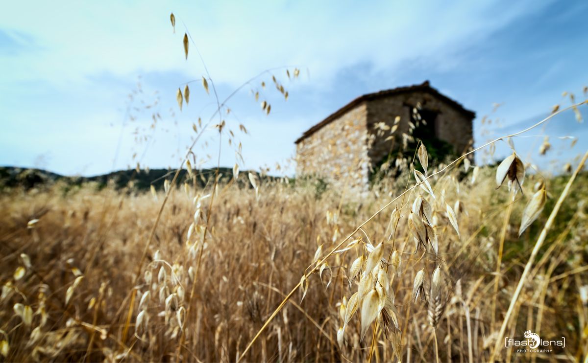 02 Haute Provence 019