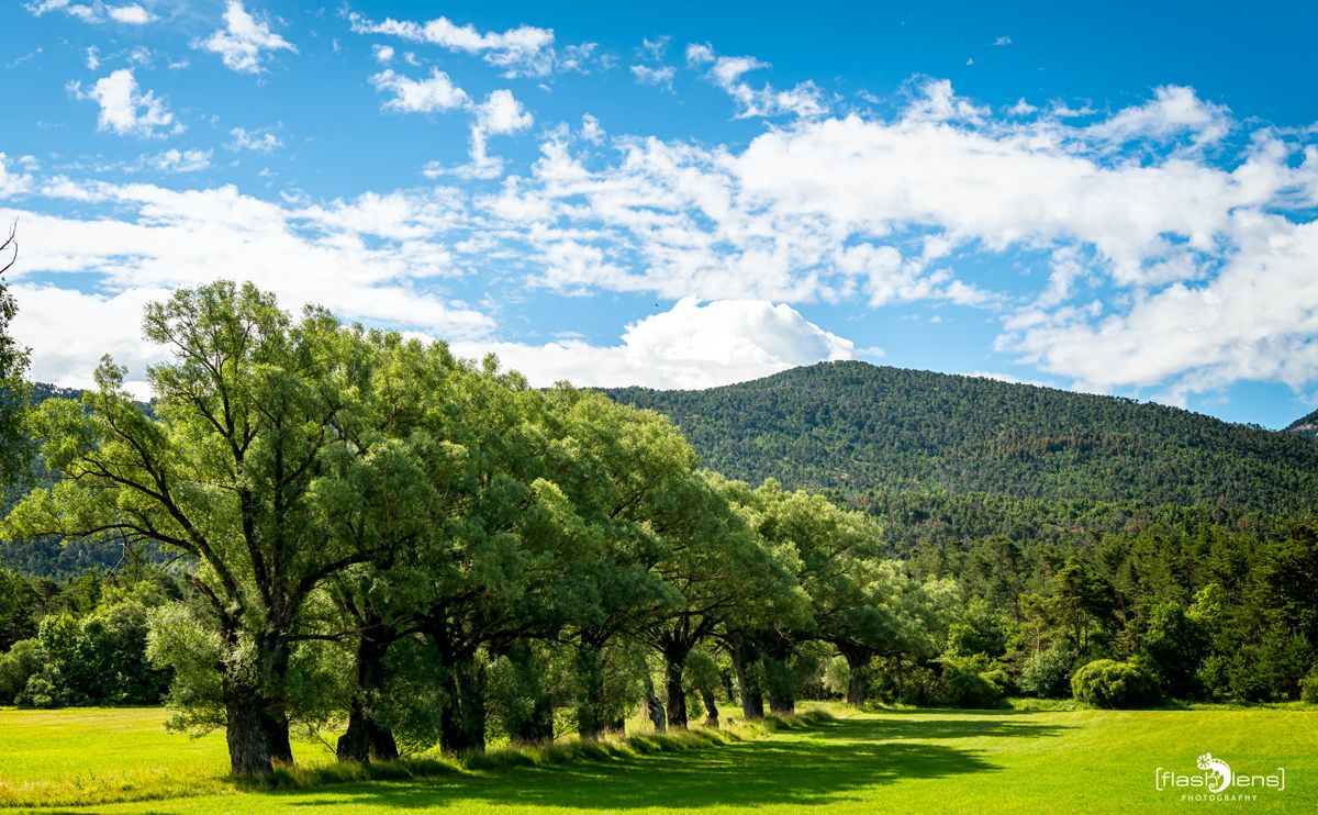 02 Haute Provence 021