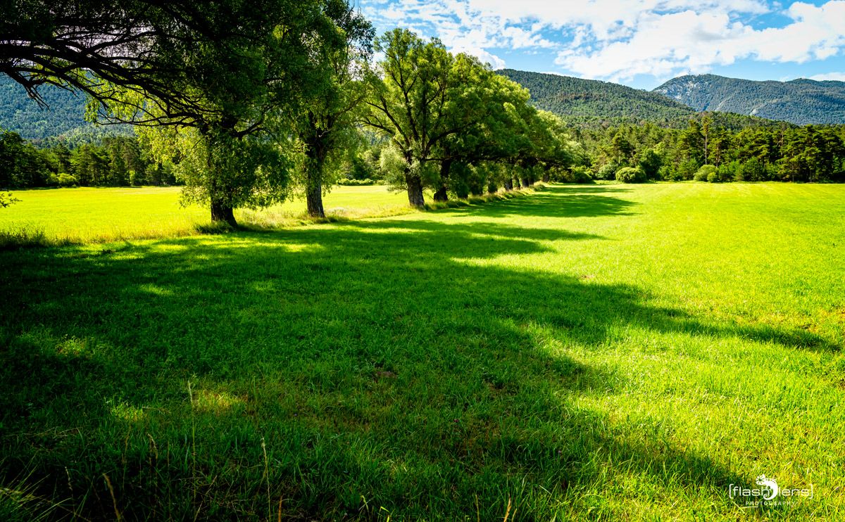 02 Haute Provence 022