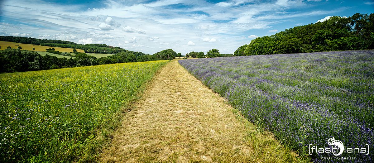 Petit Provence 004