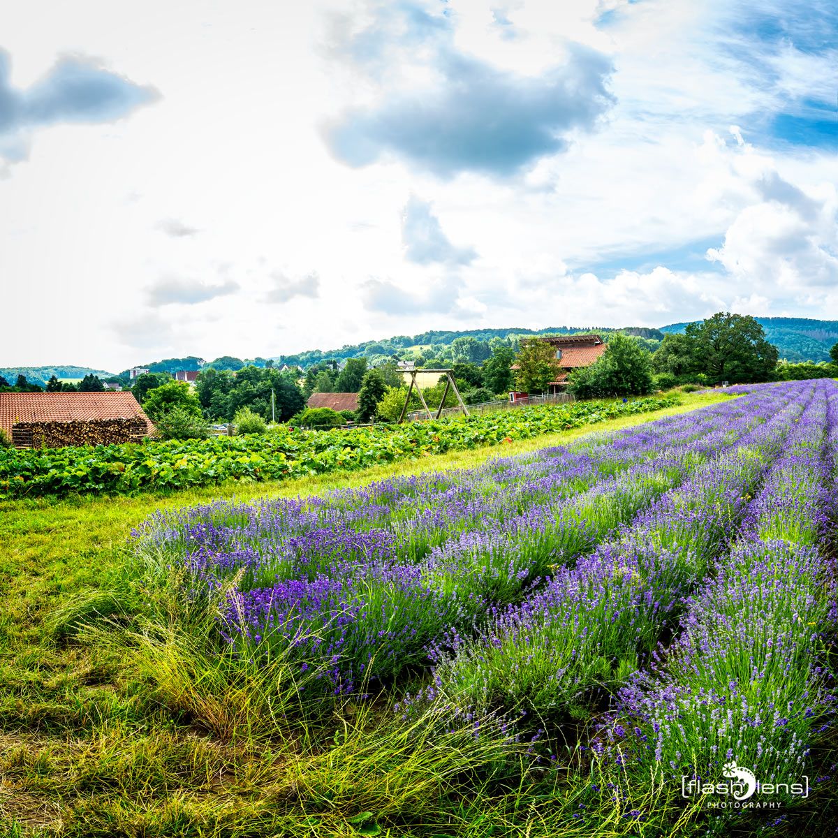 Petit Provence 006