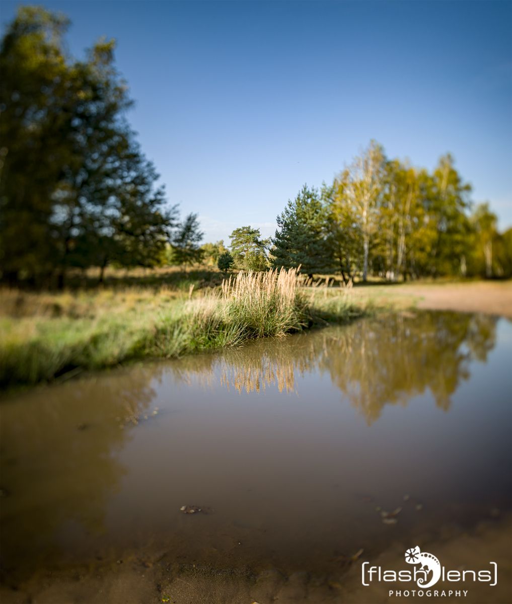 Wahner Heide 008