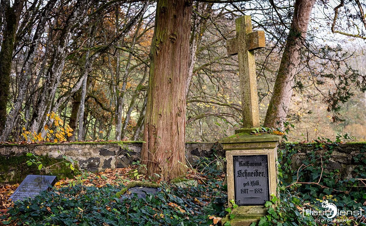 Holzbachschlucht 008