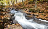 Holzbachschlucht 018