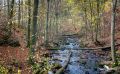 Holzbachschlucht 026