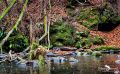 Holzbachschlucht 028