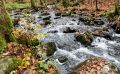 Holzbachschlucht 032