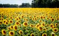 02 Haute Provence 007