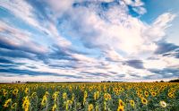 02 Haute Provence 010