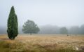 FotoFahrt Lueneburger Heide 2021 003