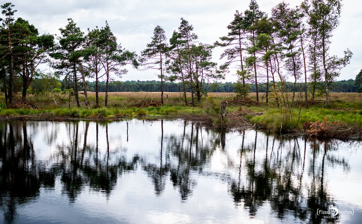 FotoFahrt Lueneburger Heide 2021 010