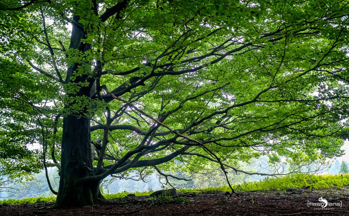 FotoFahrt Lueneburger Heide 2021 012