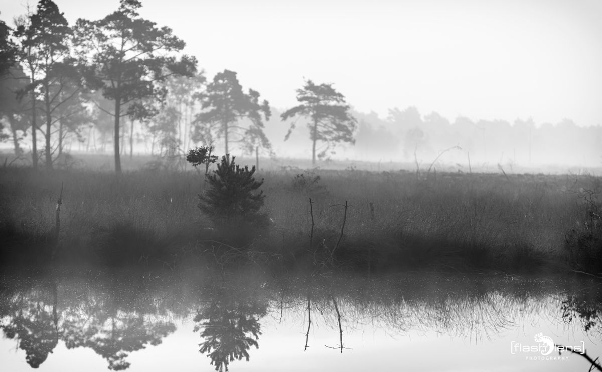 FotoFahrt Lueneburger Heide 2021 016