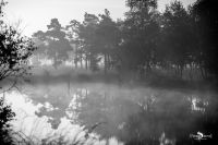 FotoFahrt Lueneburger Heide 2021 017