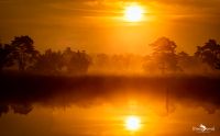 FotoFahrt Lueneburger Heide 2021 020