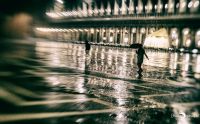 FotoFahrt Venedig 2021 036