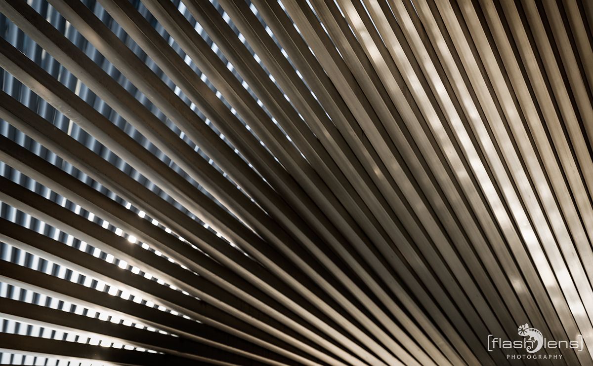 Frankfurt am Main 019