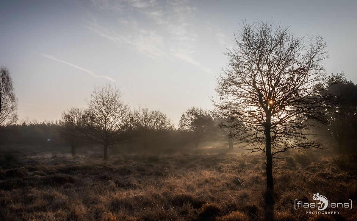 Wahner Heide 201