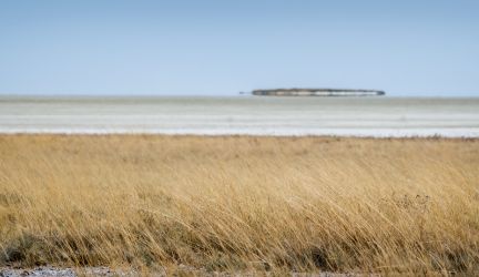 Etosha