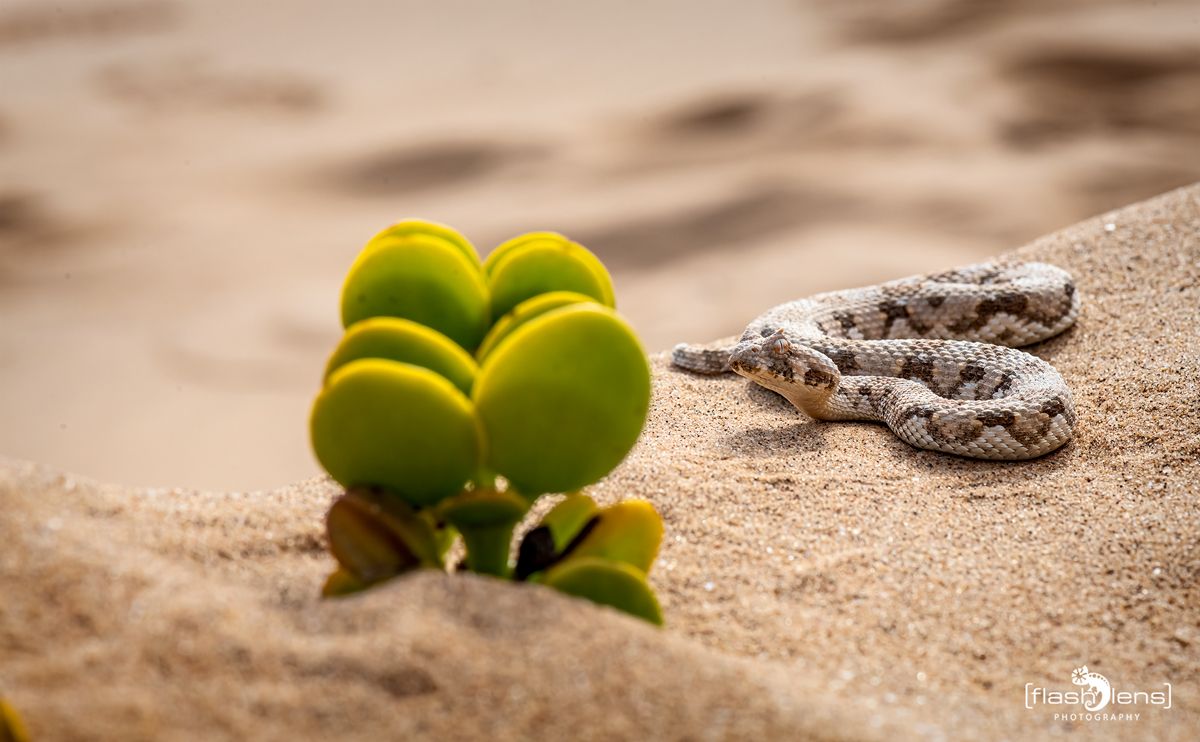 little five tour 034